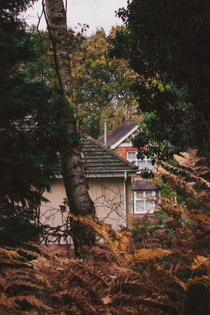 IMG_5307.tif 2 copy.jpg