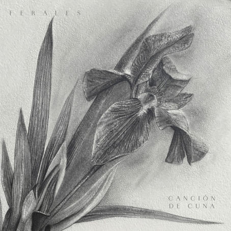 Nueva musica "Canción de Cuna"