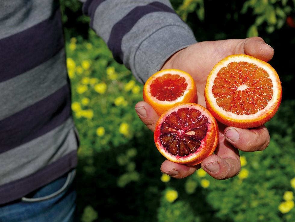 Thumbnail: LemonAid+ Blood Orange - case of 24