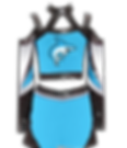 Custom competition uniform with unlimited rhinestones for $199, cheer uniform in turquoise, black, and white.