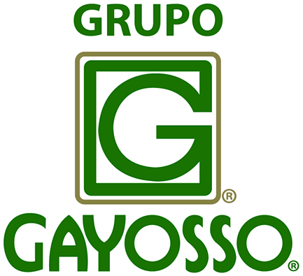 Grupo Gayosso logo featuring a green 'G' inside a square, with 'GRUPO' above and 'GAYOSSO' below in green text.