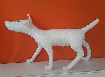 20190512_171542.jpg