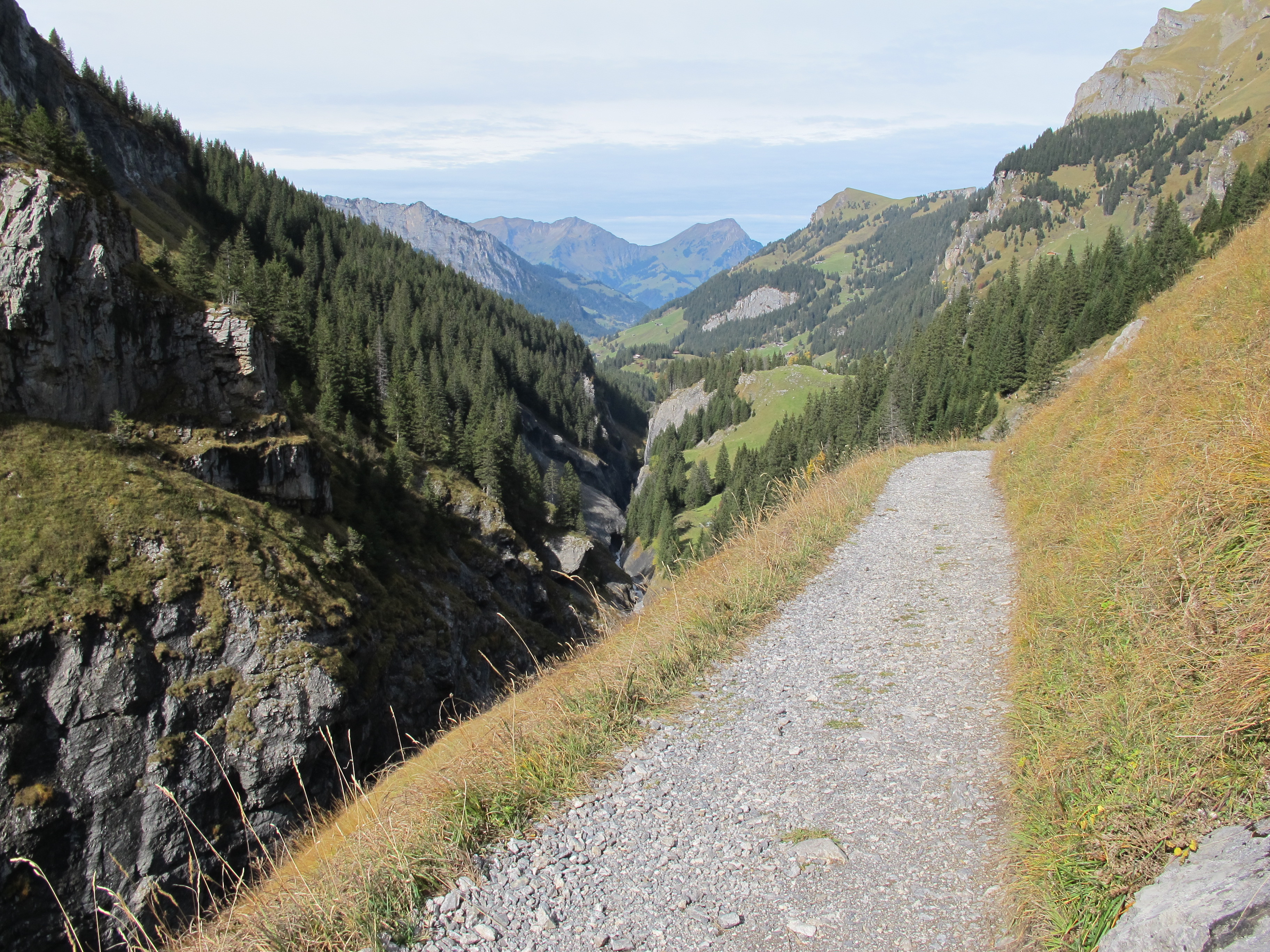 Schlucht des Gamchibachs