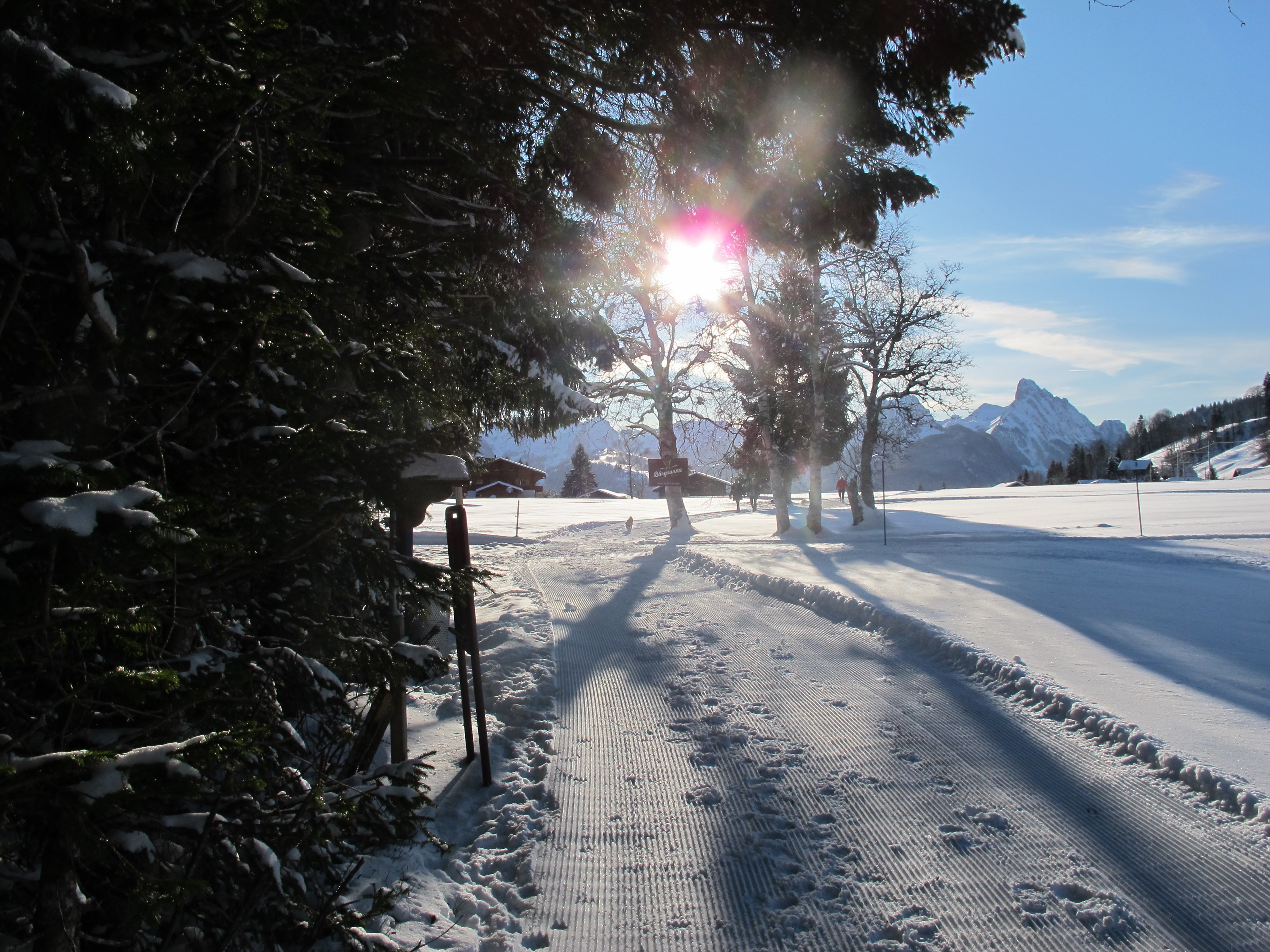 Die Sonne blinzelt