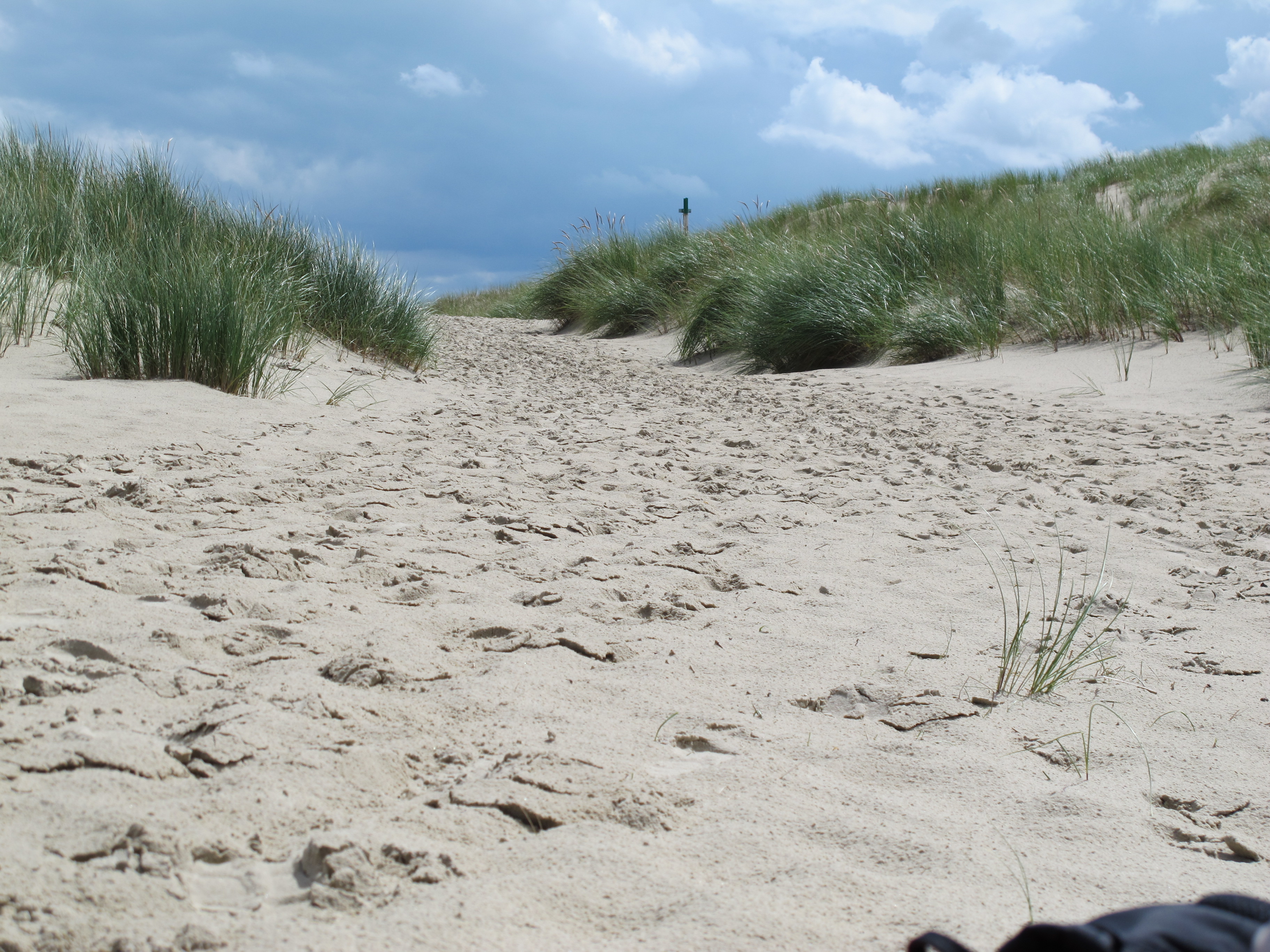 Spuren im Sand