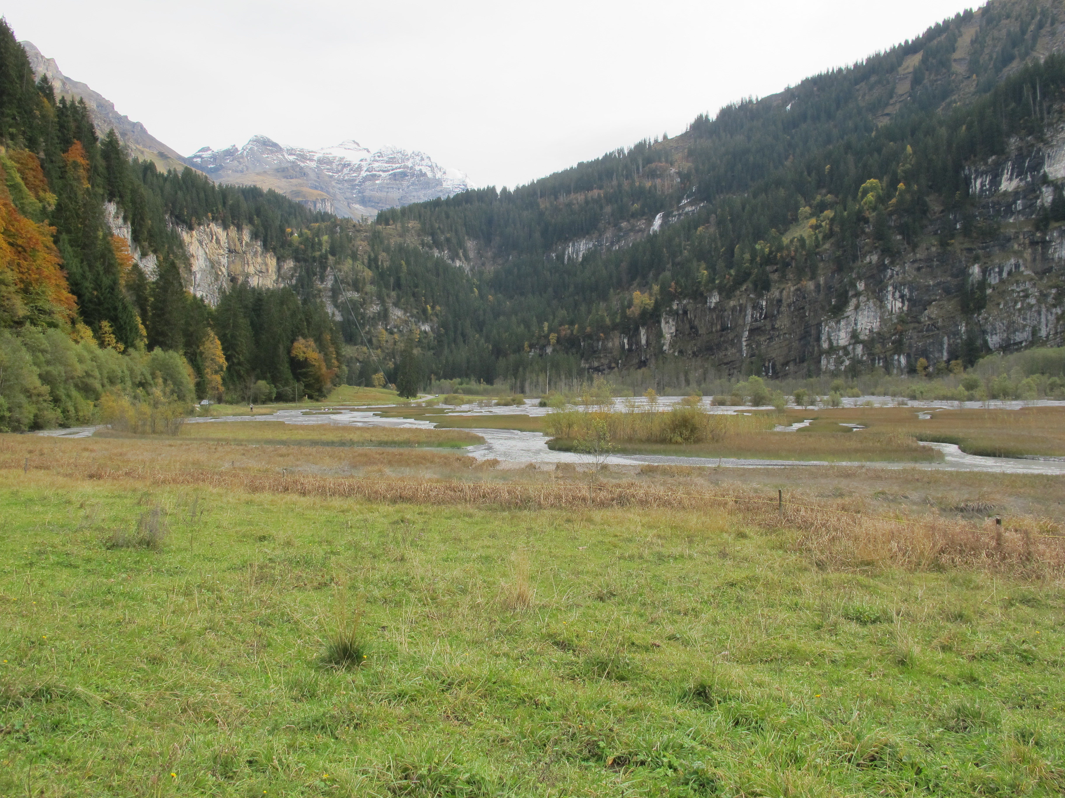 Blick zur Talstufe Griesalp