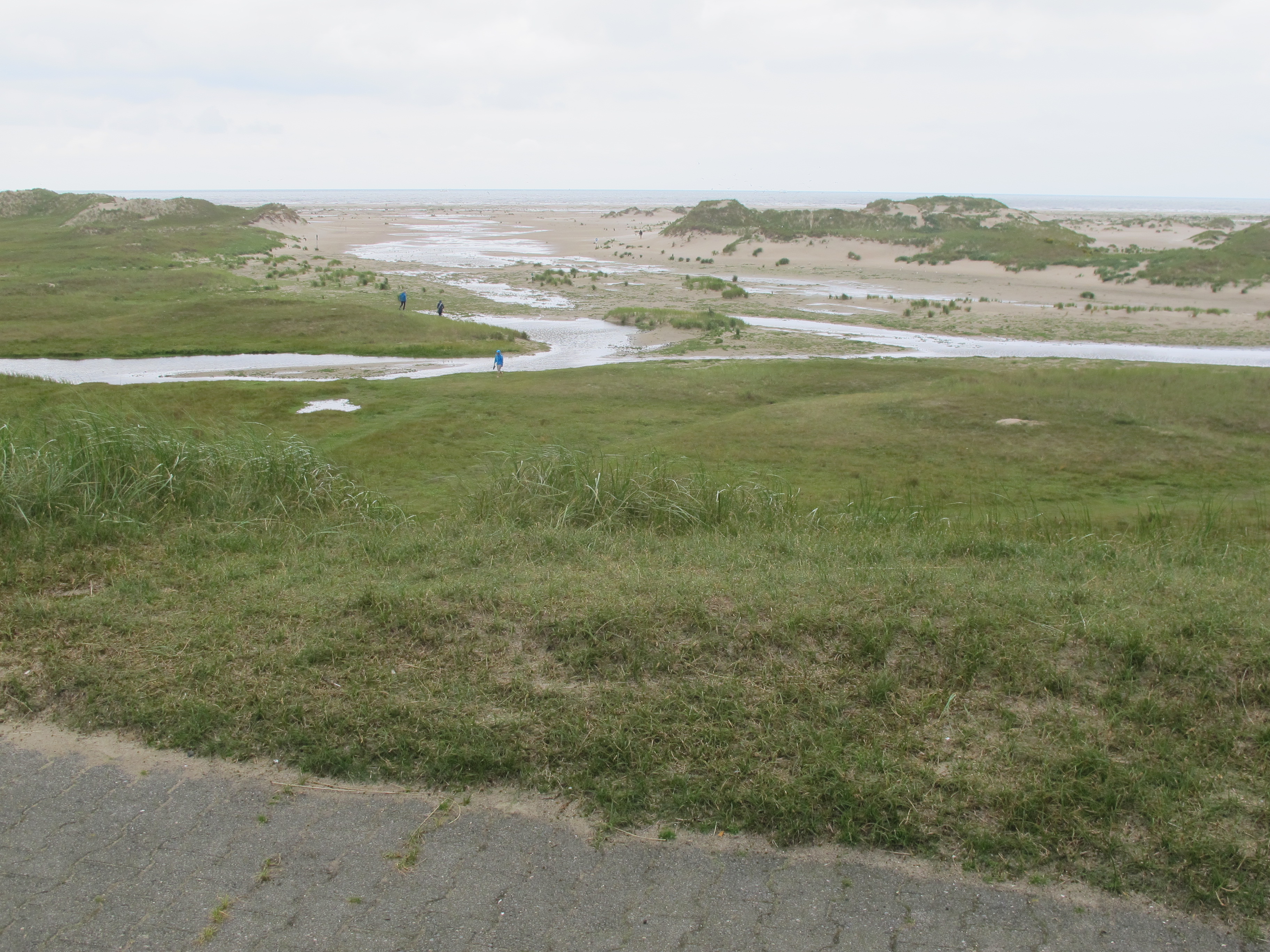 Natur pur