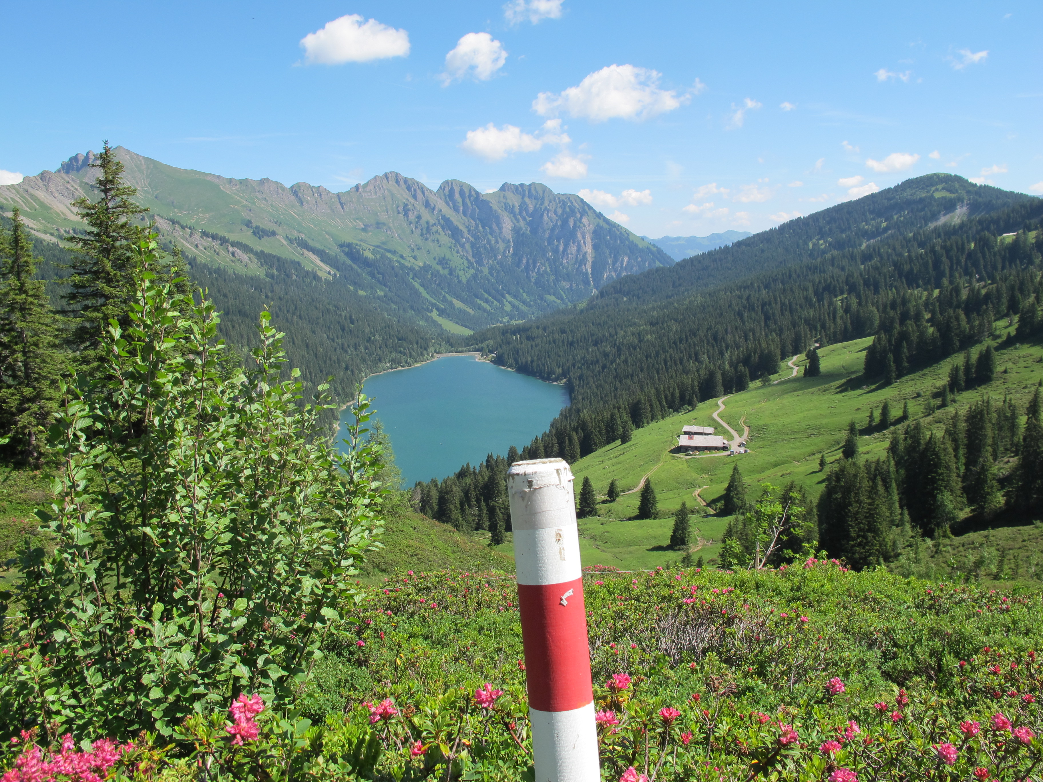 Blick auf Arnensee
