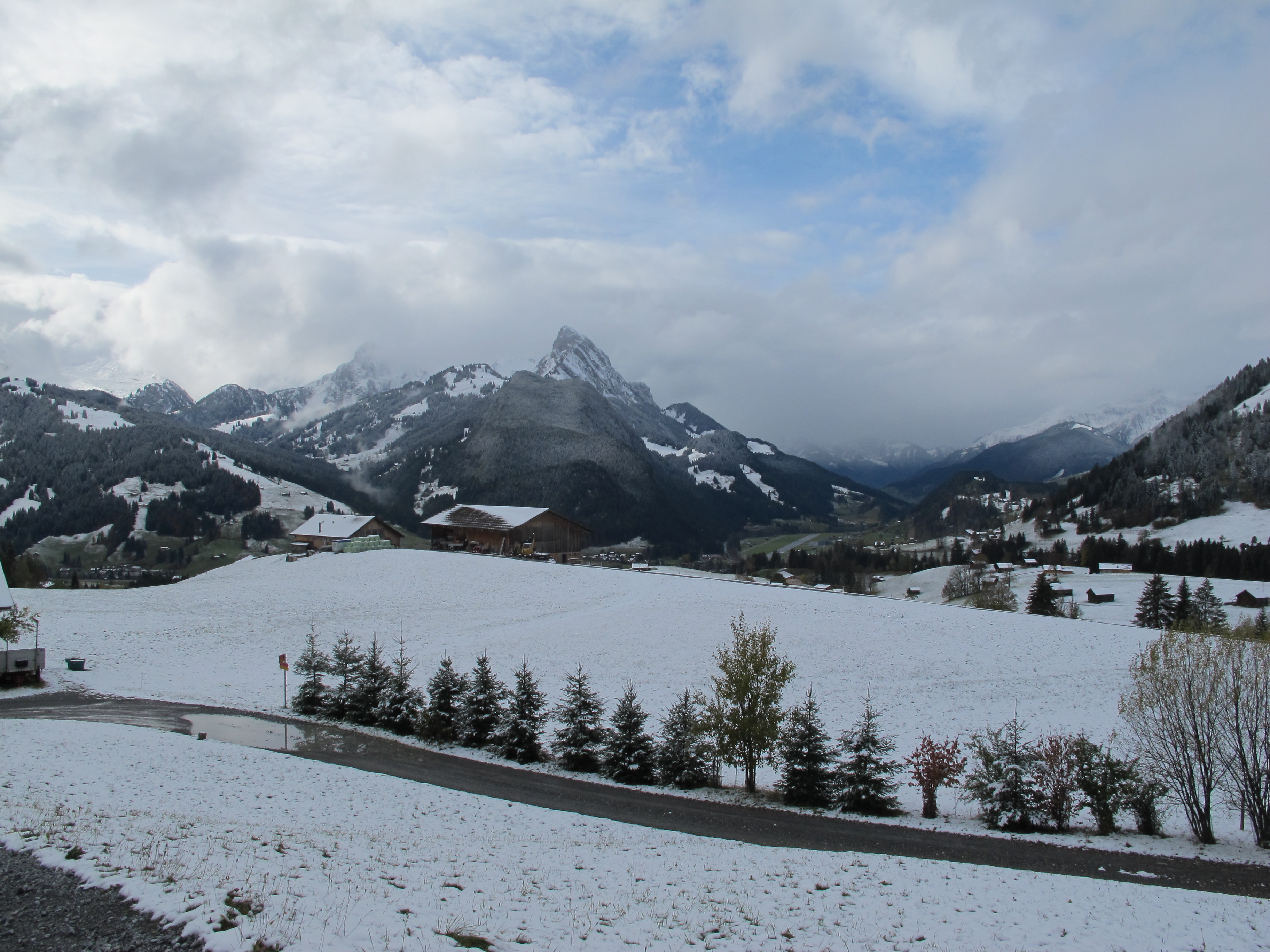 Erster Schnee im Saanenland