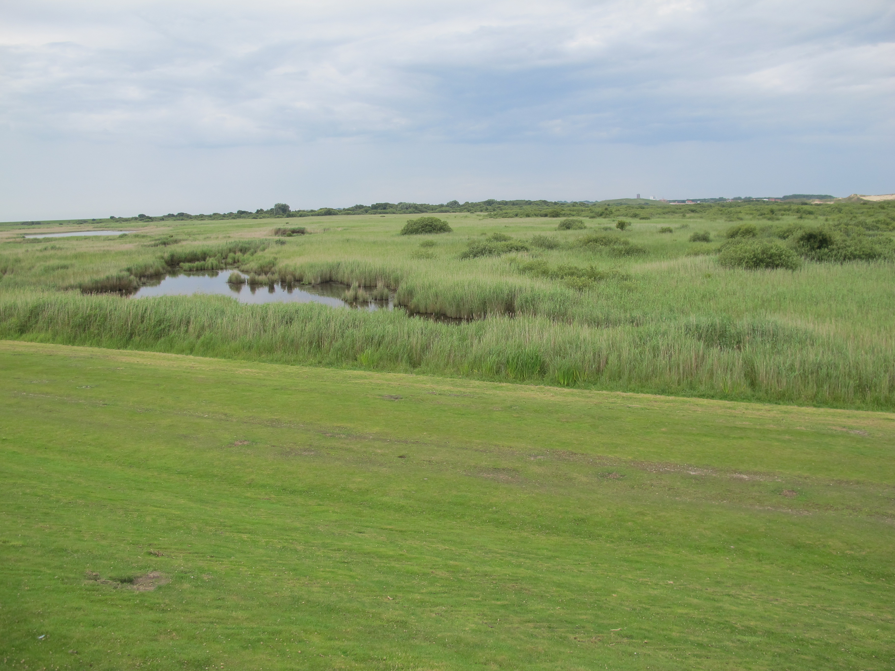 Naturreservat Wattenmeer