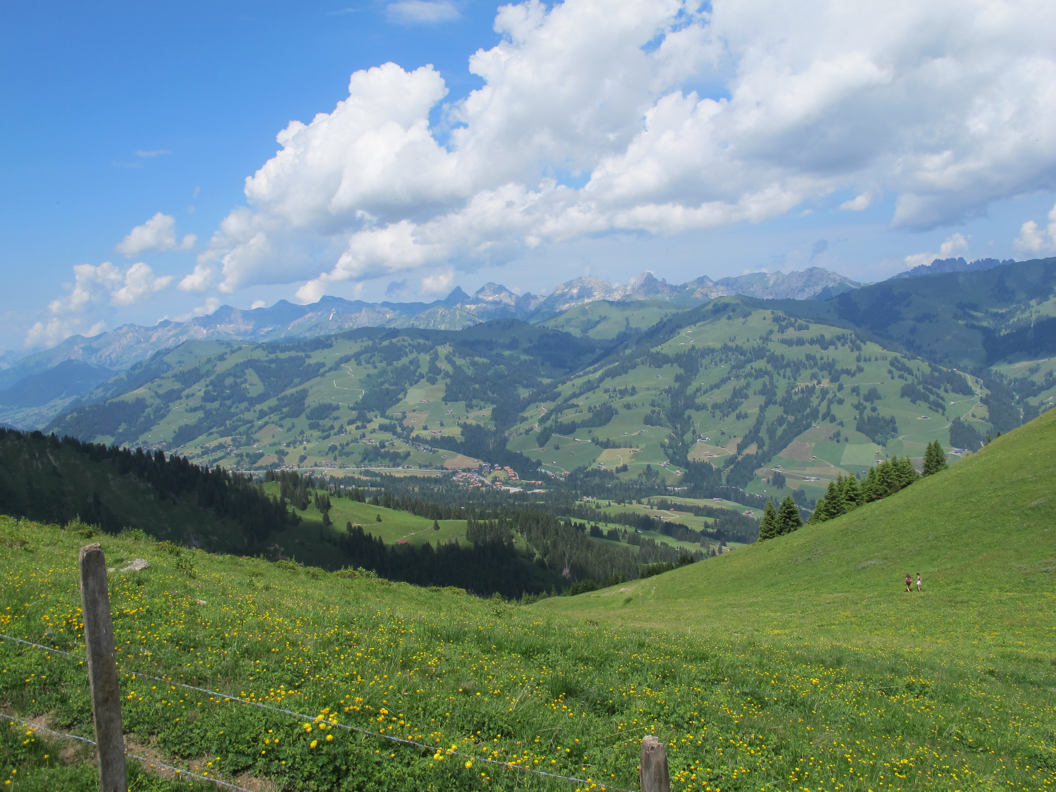 Blick vom Rinderberg