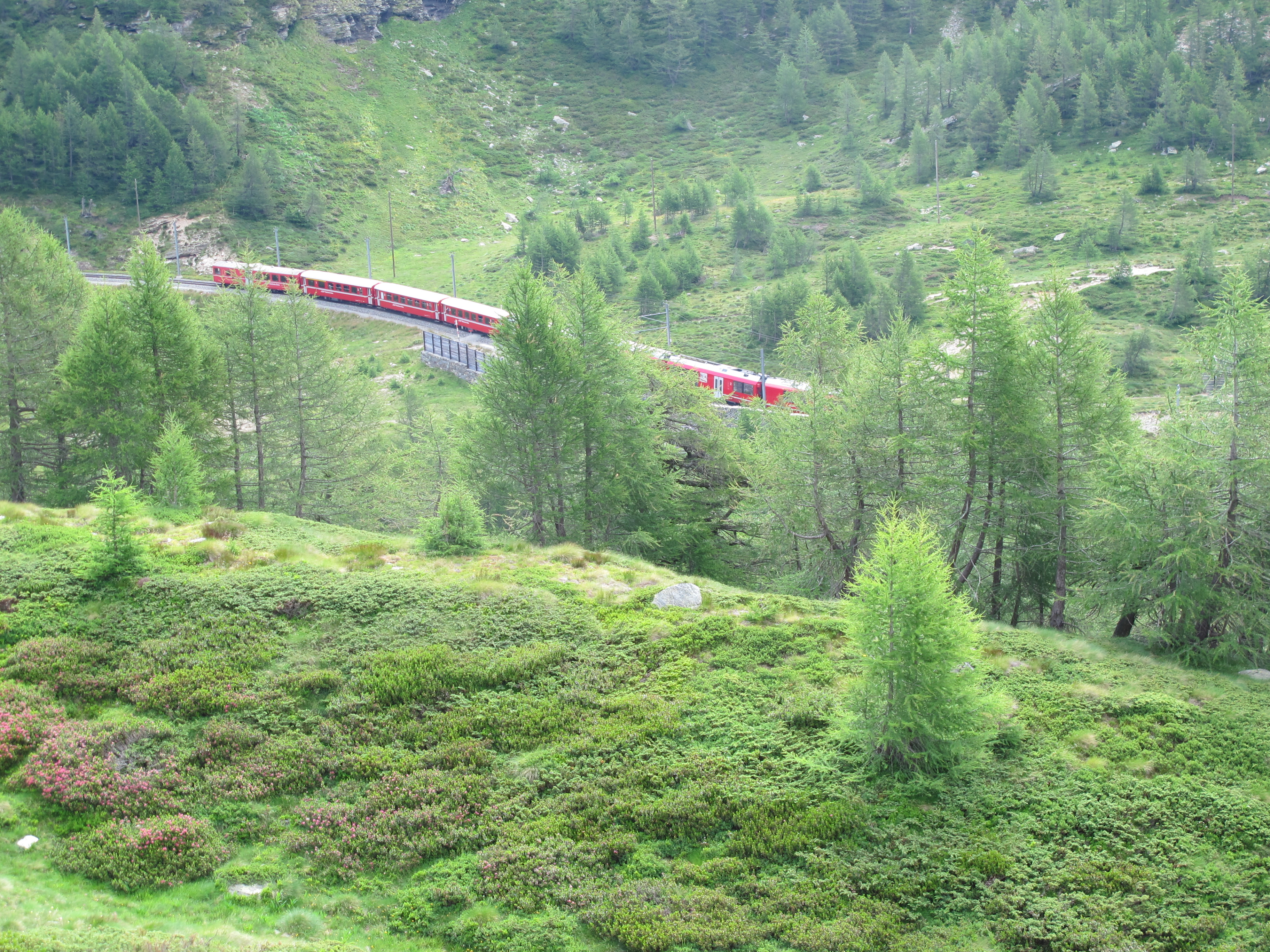 Die RhB im Hochgebirge