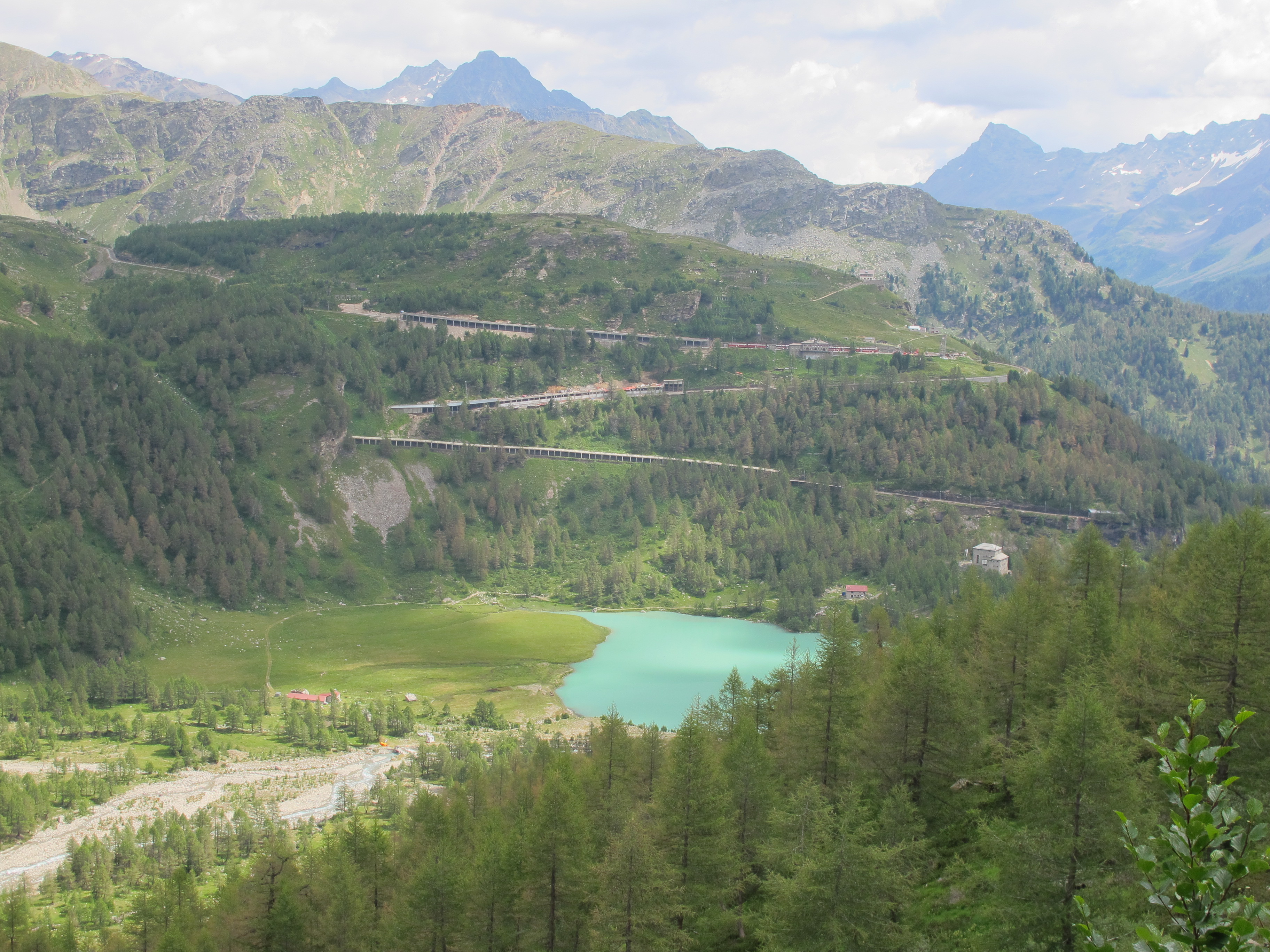 Alp Grüm