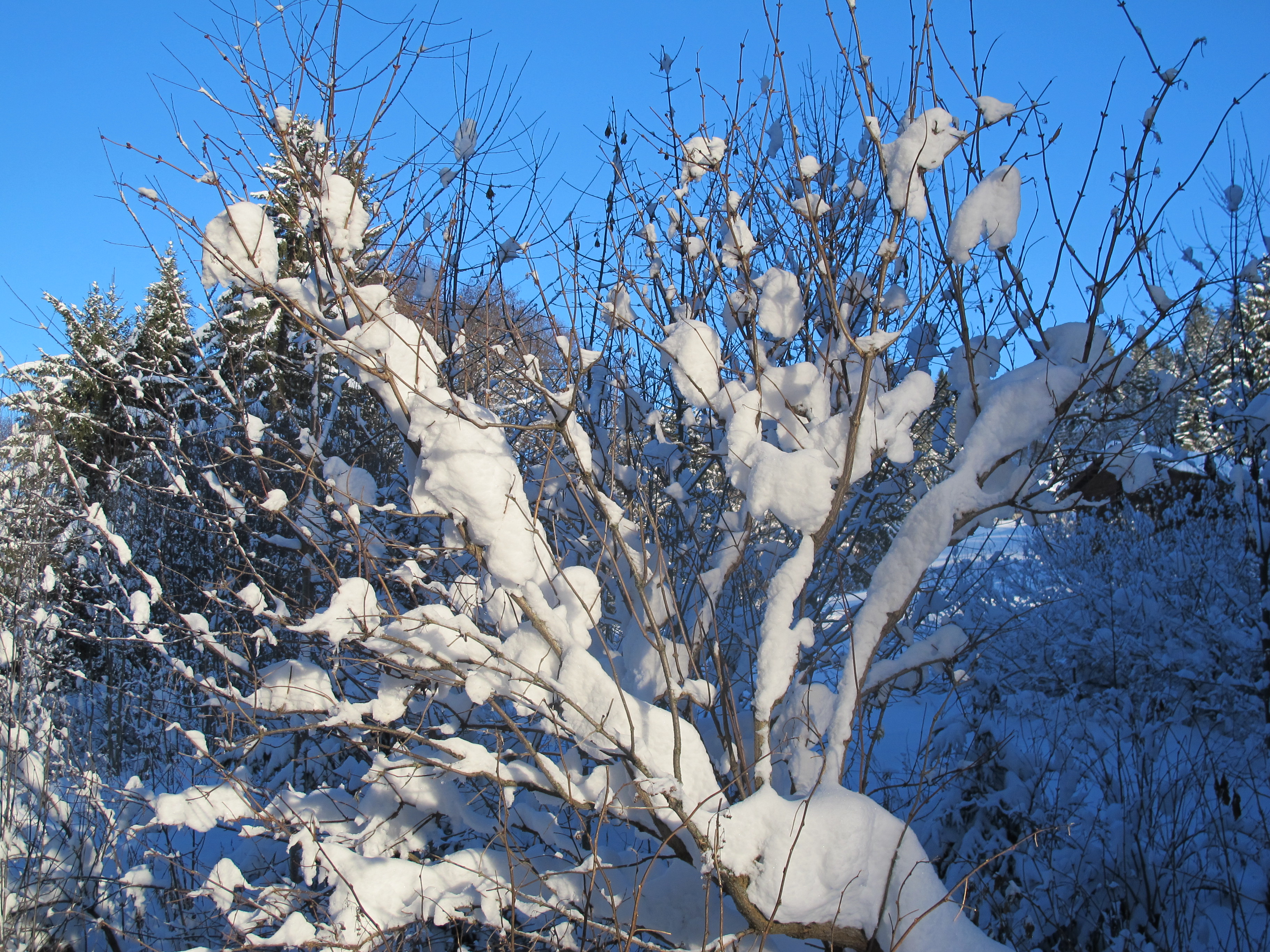 Blau / Weiss Kontrast
