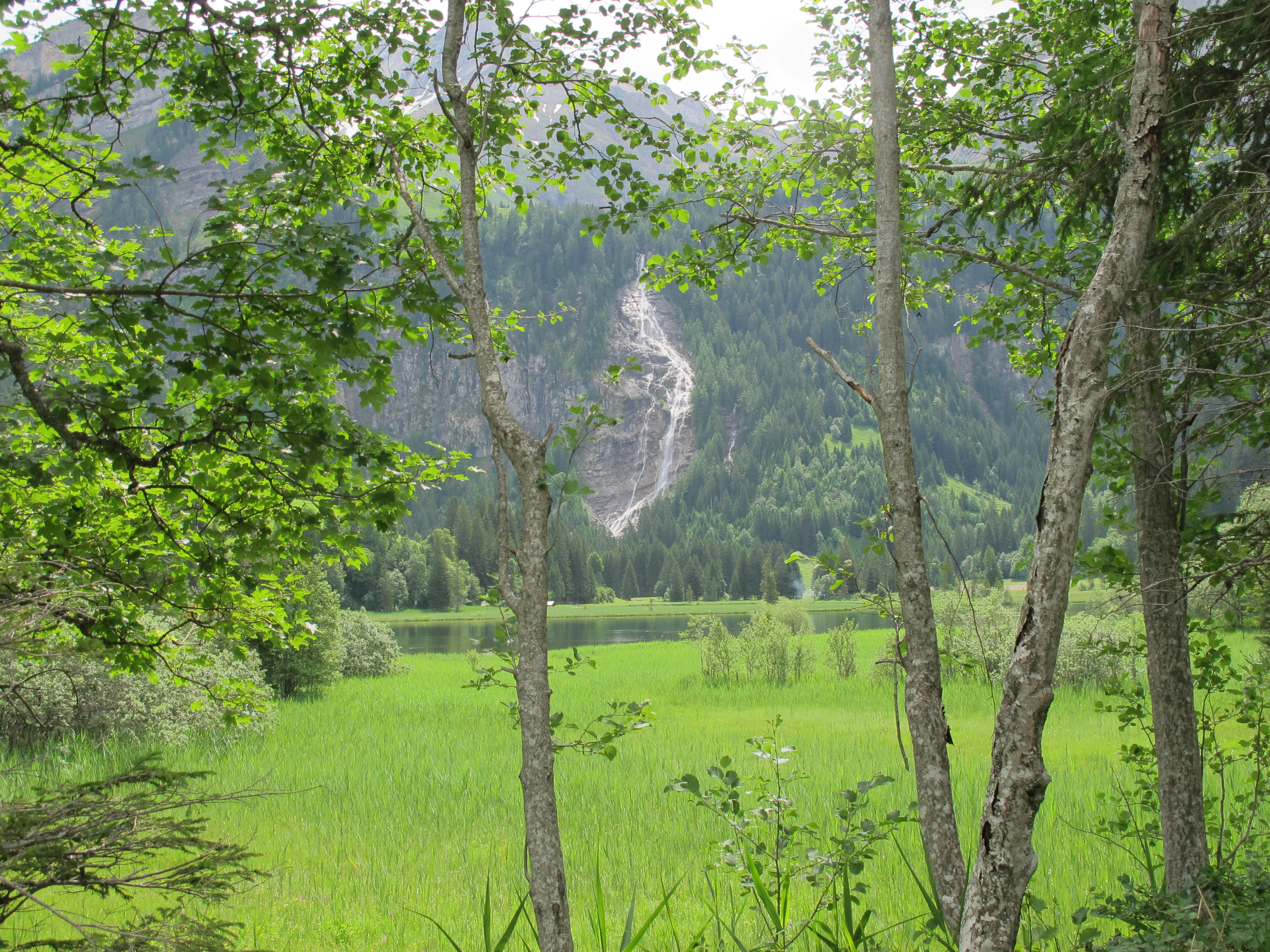 Tungelschutz