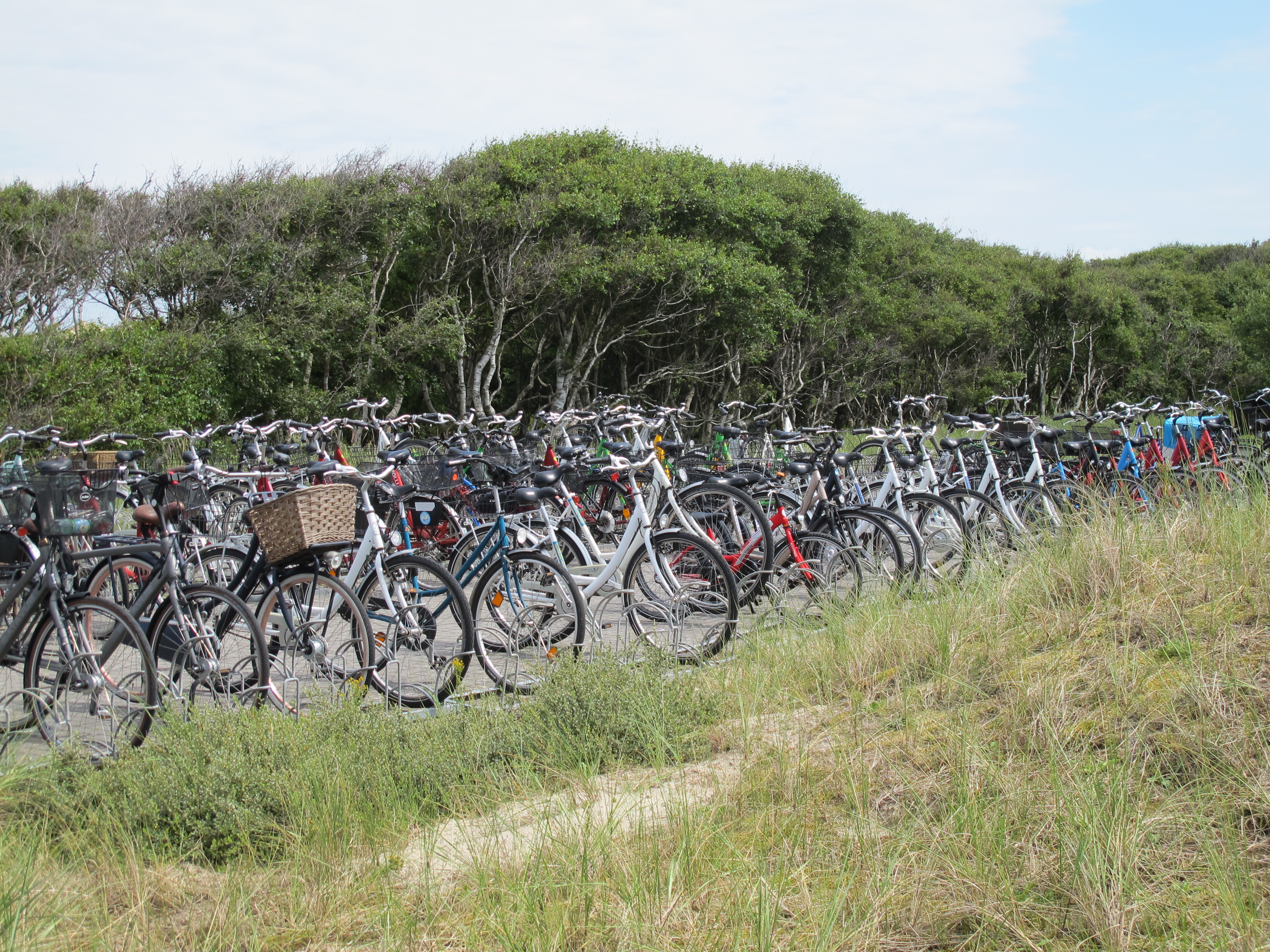Das Hauptverkehrsmittel auf der Insel