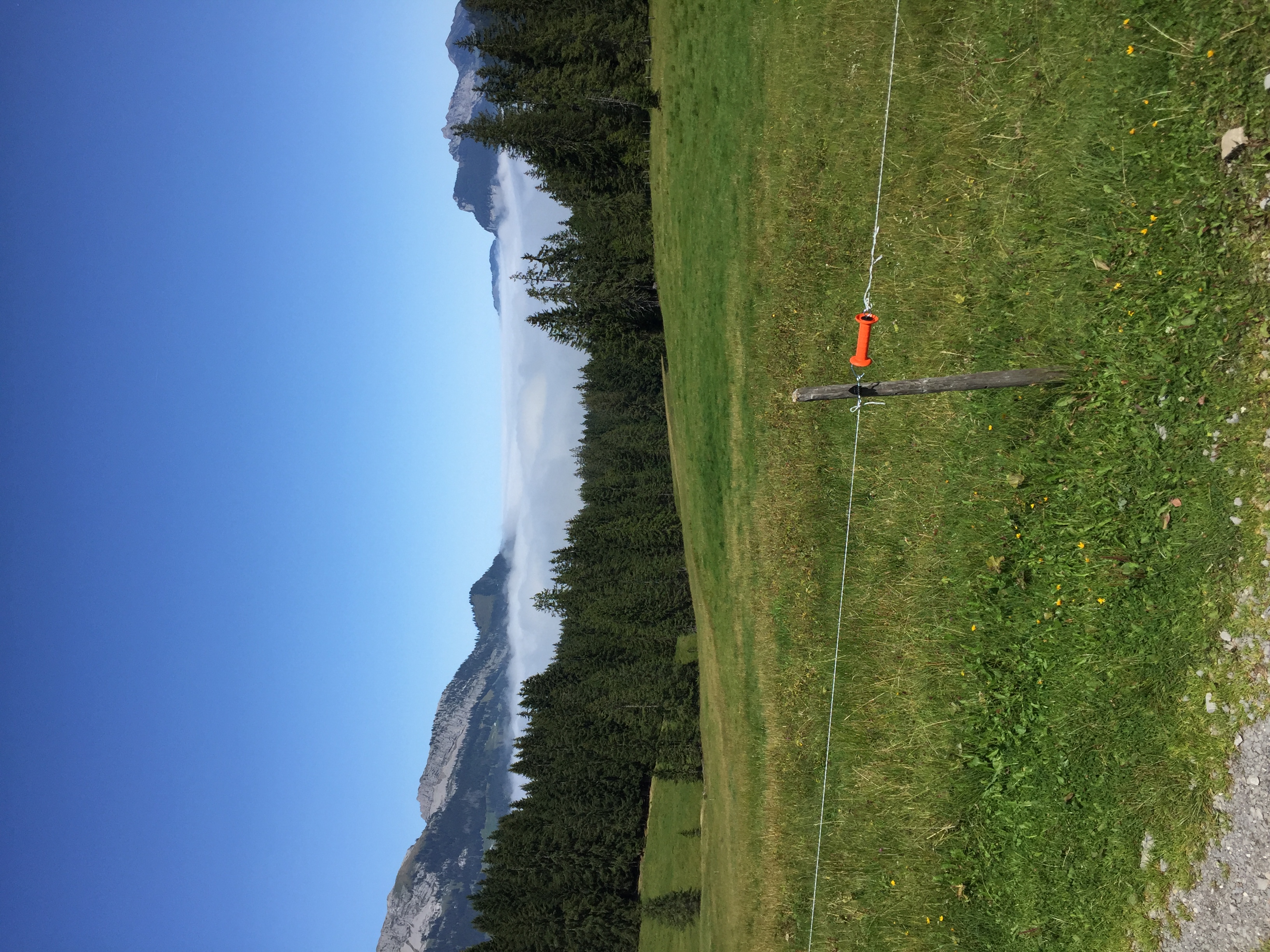 Oberhalb des Nebelmeeres