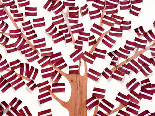 Patriotiskā nedēļa: notikumi un rezultāti