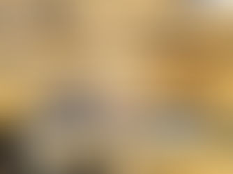 Iepazīšanās ar Latvijas Universitāti