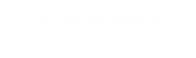 White logo - no background.png