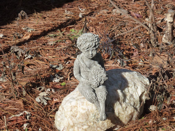 Winter Solstice 2017