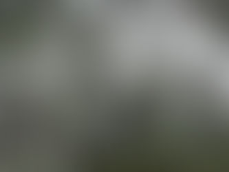 Winter Wonderland Jan. 17, 2018