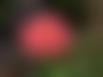 Beautiful Summer Solstice 2019