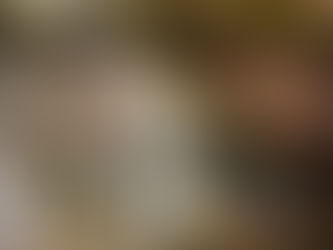 A Bitter January 2018