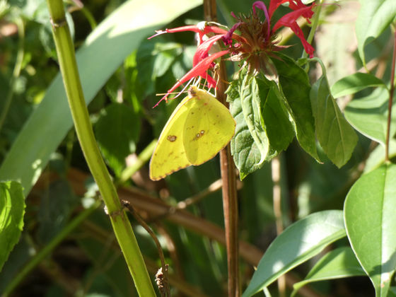 It's a Wrap- End of Summer 2019