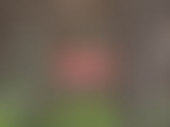 Anticipation- Late March 2019