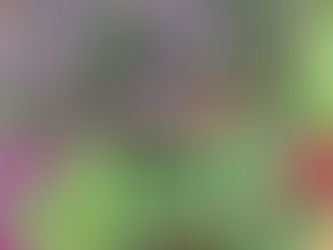 Bridging the Gap between Red and Pink