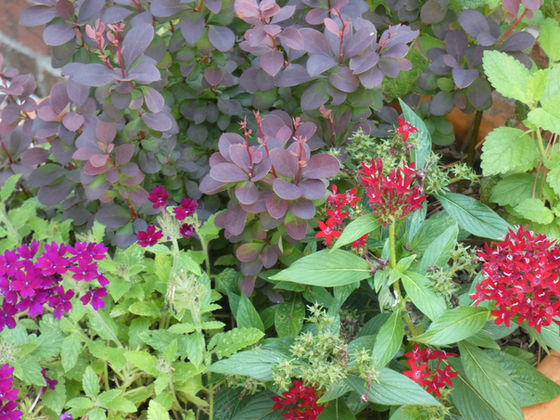 Bridging the Gap between Red and Pink