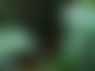 Welcome Autumn Equinox