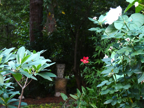 Welcome Autumn Equinox