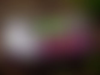 Happy Halloween 2017!