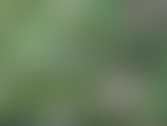 Late Summer/Fall 2018 The Good, the Bad and the Ugly