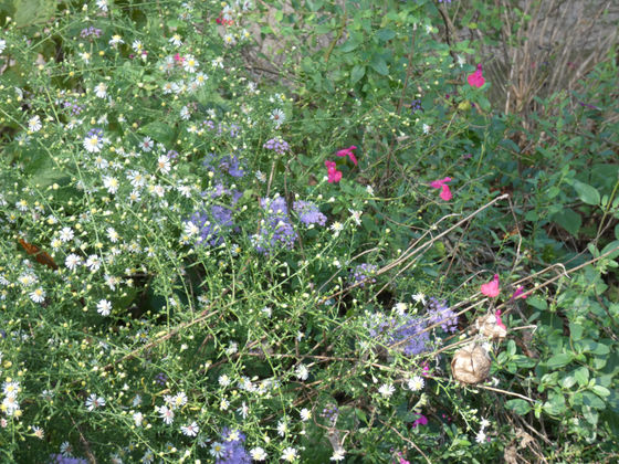 Late Summer/Fall 2018 The Good, the Bad and the Ugly