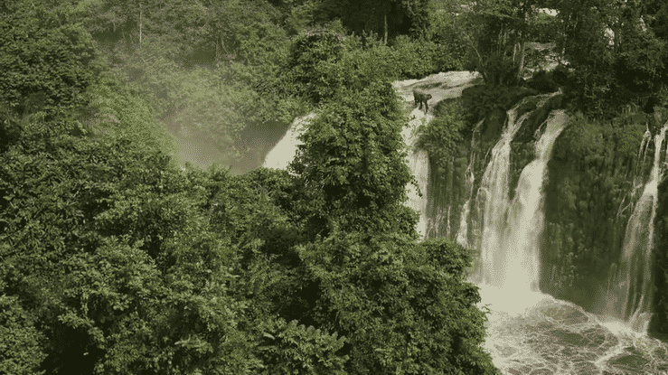 AFRICA: EARTH'S WILD HOME | Highlights