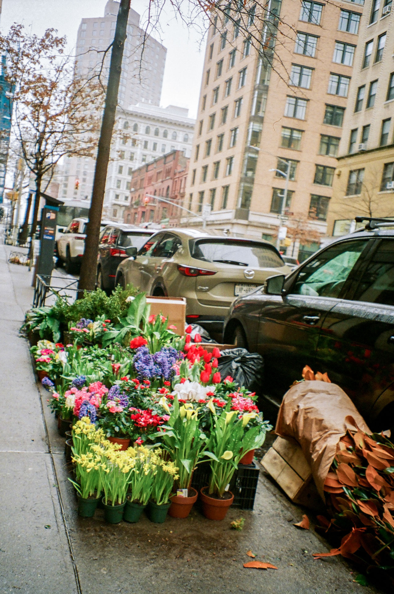R4_2025_26_1.jpg