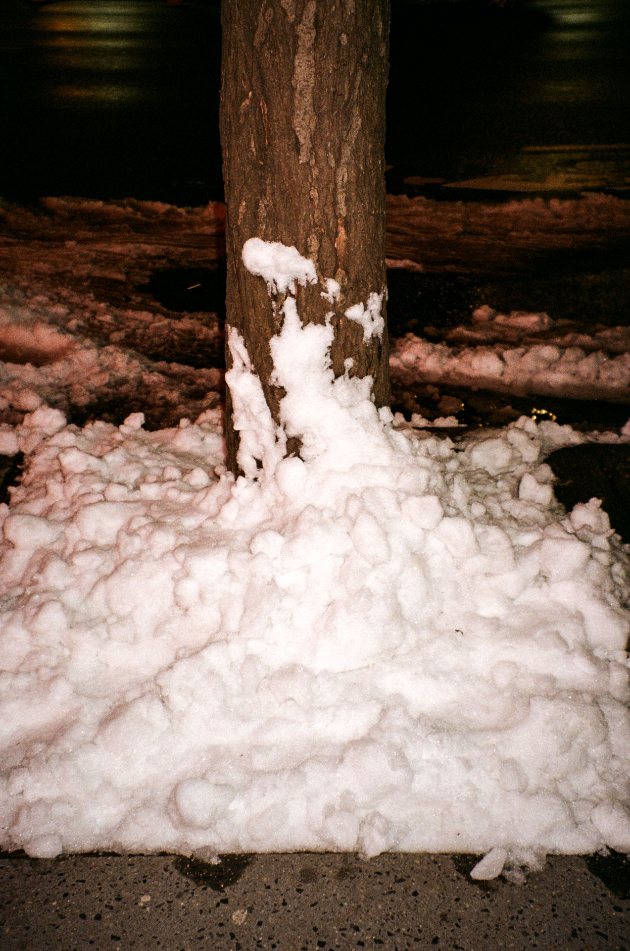 R3_2025_15_1.jpg