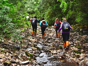 Actividades al aire libre en Entre Pinos