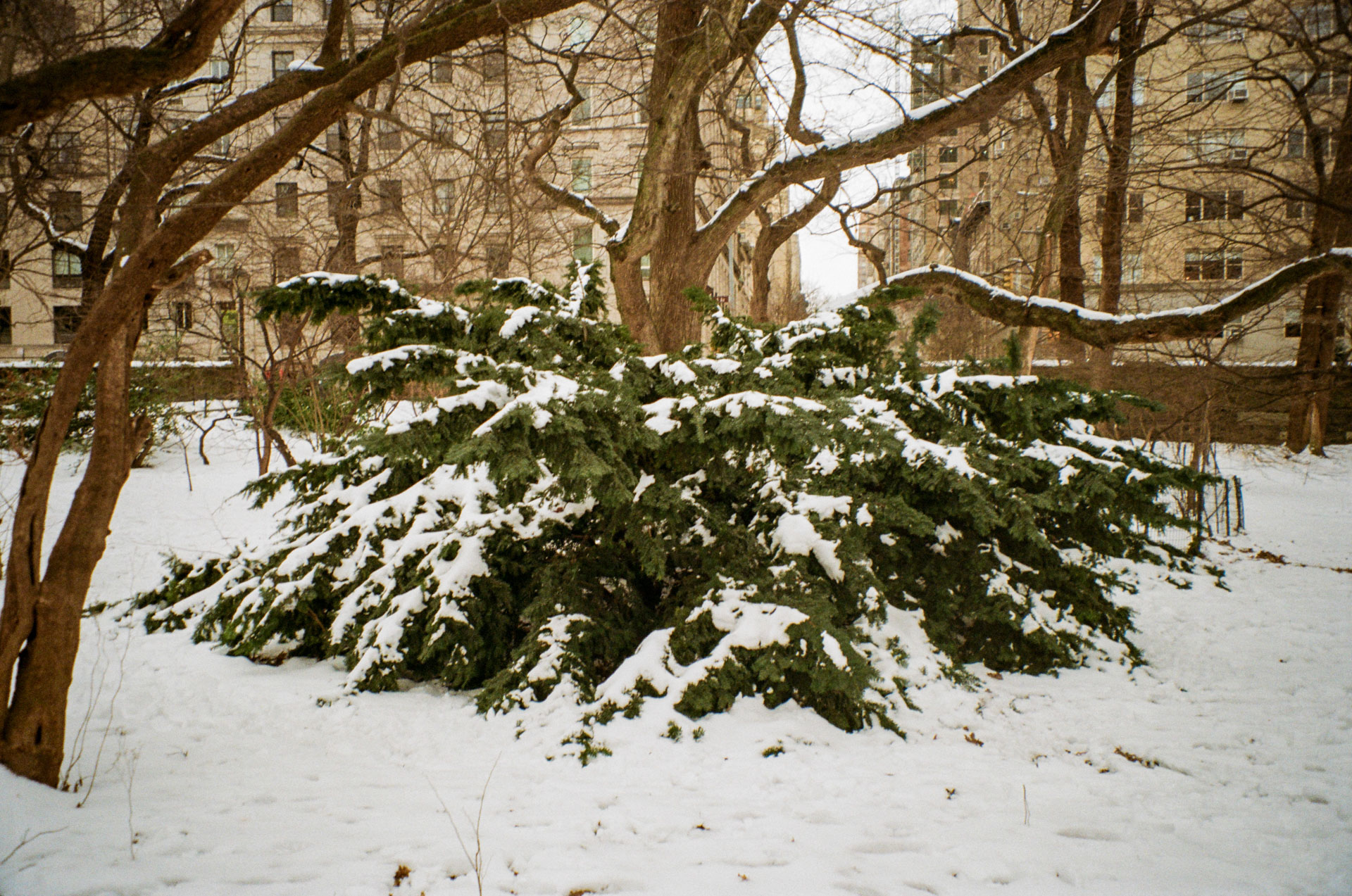 R3_2025_34.jpg