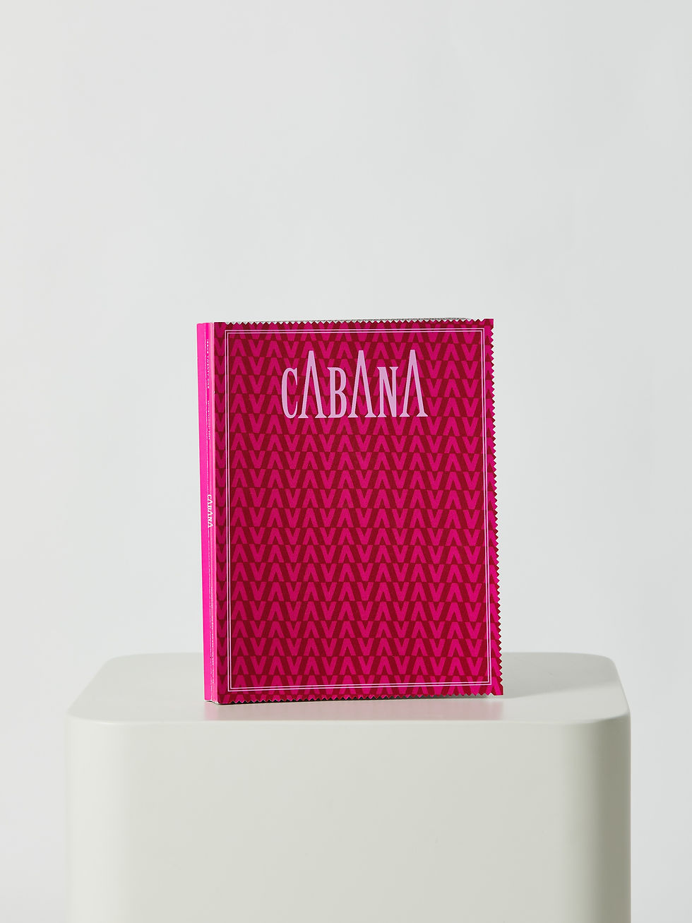 Almohadón lino grueso, lino arpillero y costura 50X50 RELLENO PLUMA.jpg