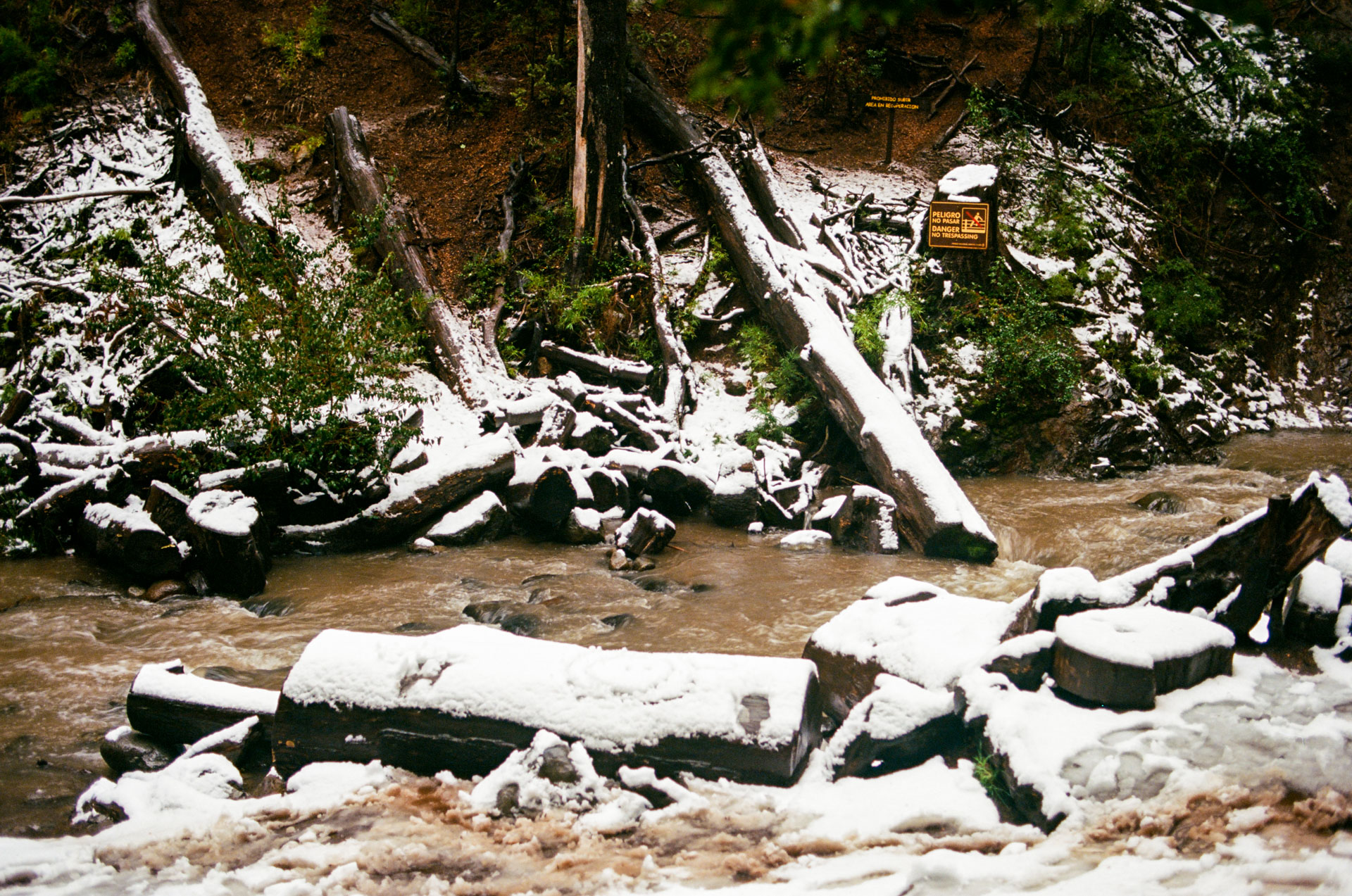 R15_2025_03.jpg