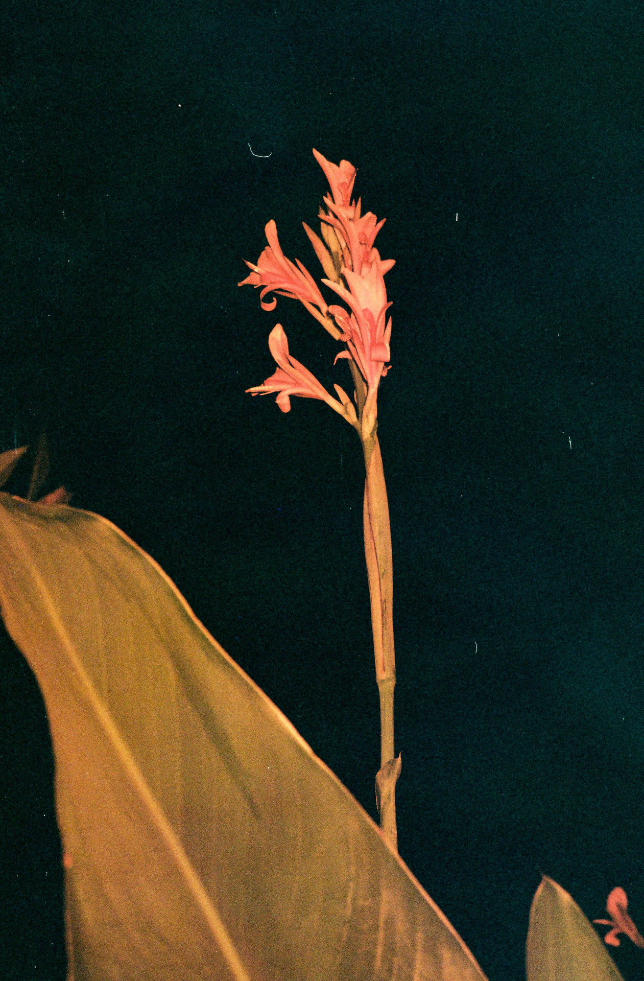 R4_2024_10.jpg