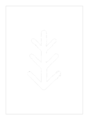 LOGO_RPI_03_edited.png
