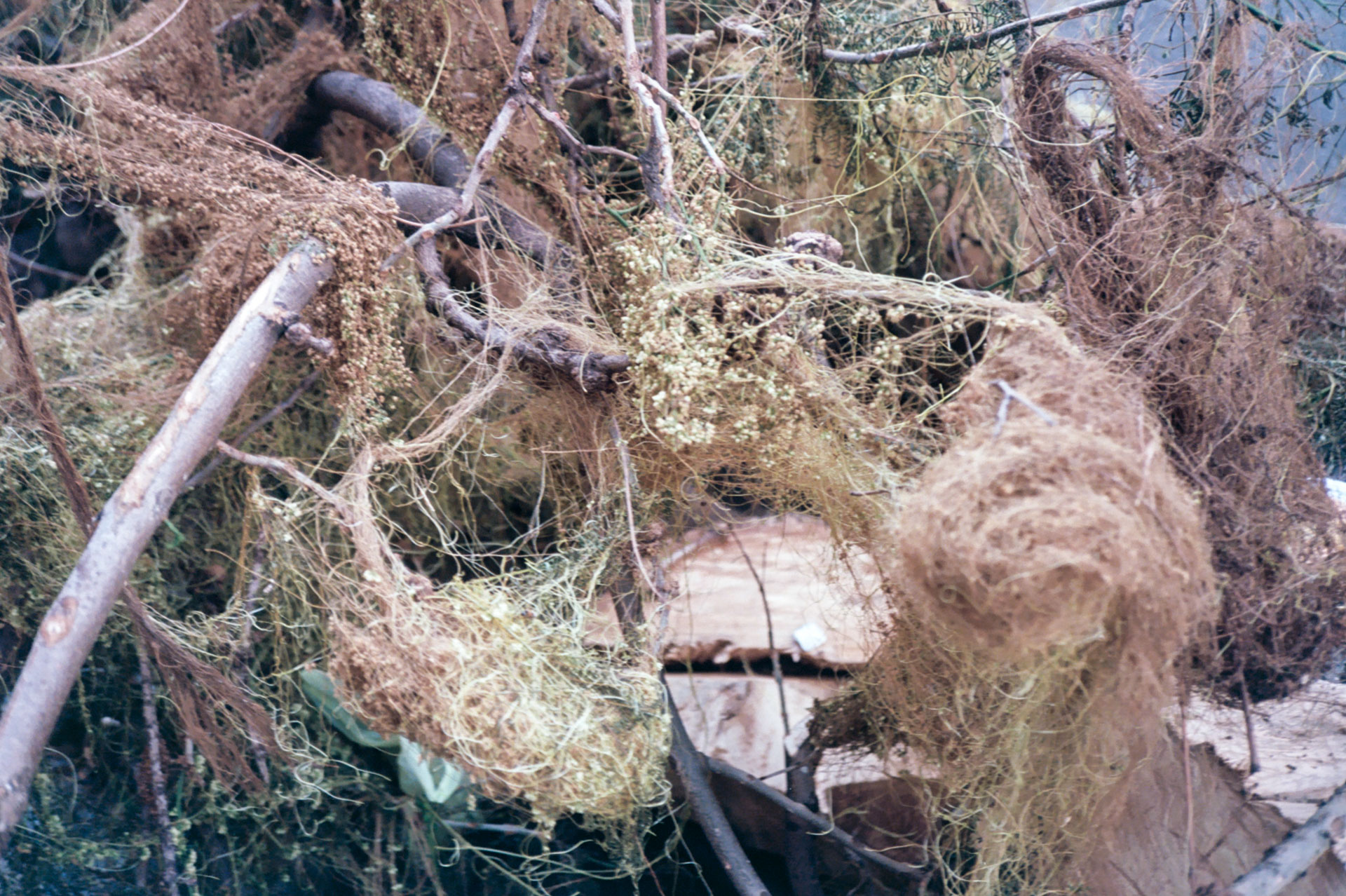 R12_2024_22.jpg