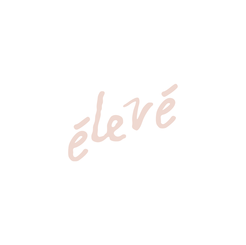 ELEVE LOGO PRINCIPAL (SILK).png