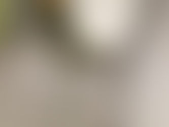 トイレの磁器タイル洗浄　～今日の現場写真vol.48～