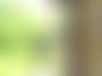 Permuta nas incorporações imobiliárias